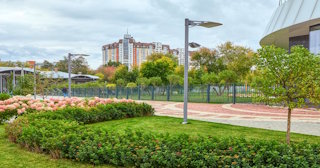 Профессиональное озеленение улиц в Троицке в октябре