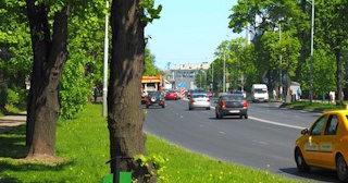 Посадка деревьев и кустарников в Троицке — стоимость от 1237 руб.